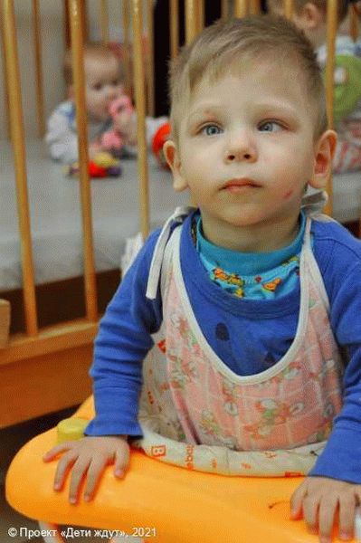 Дети, оставшиеся без попечения родителей в Московской области